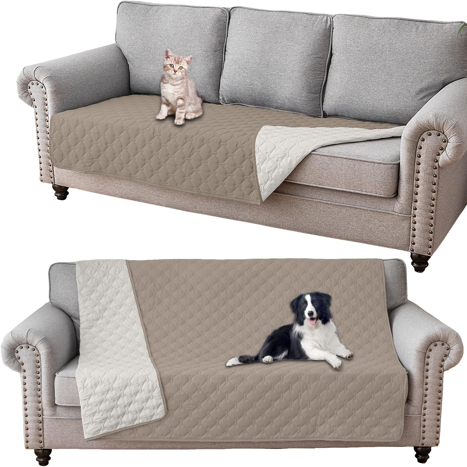 Detalle de GEBIN Coperta Impermeabile per Cani 173x208 cm