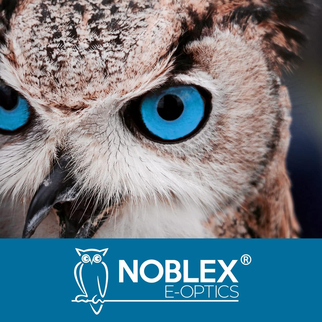 Thumbnail 3 de NOBLEX NF 7x50 Inception Marine Fernglas