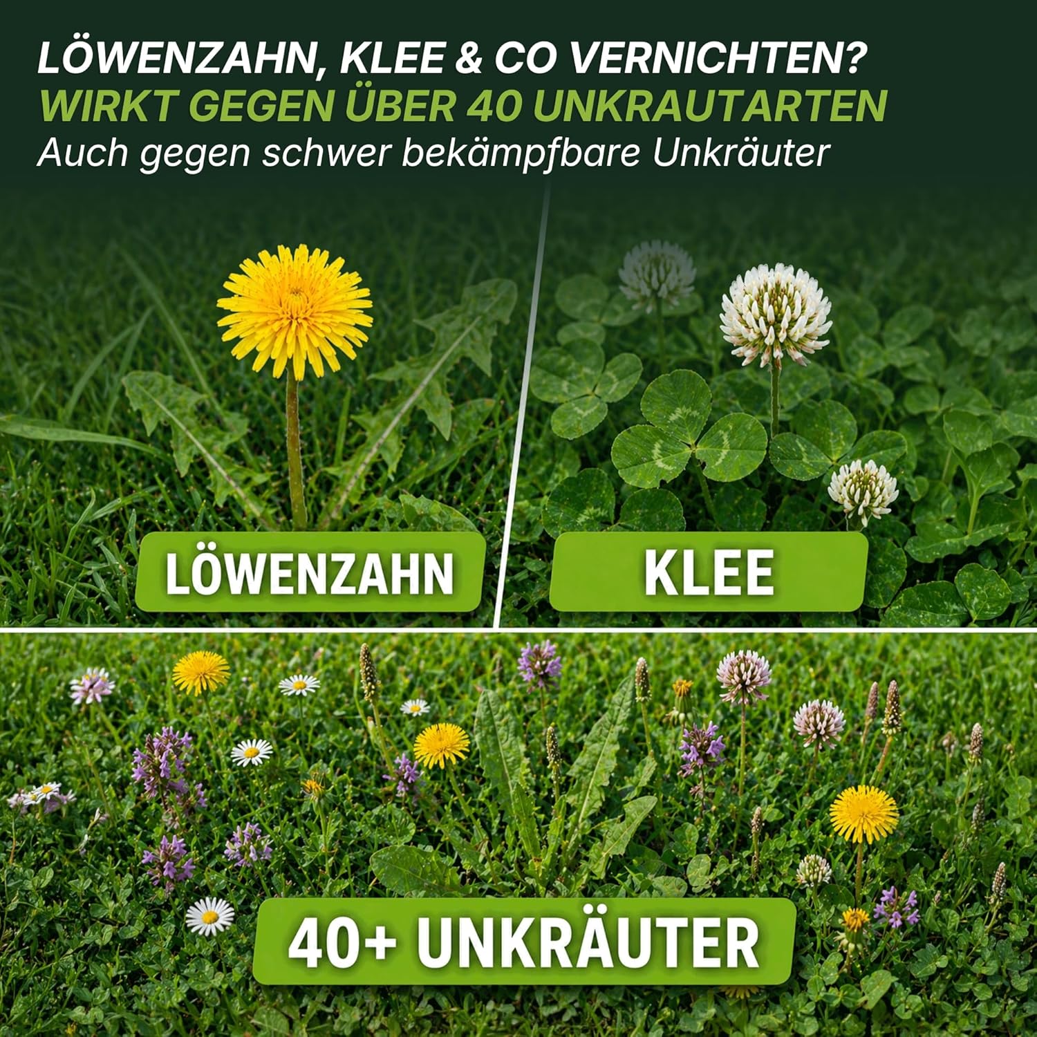 Detalle de TerraUno Unkrautvernichter Rasen 500 ml – Extra stark, wurzeltief gegen 40+ Unkräuter