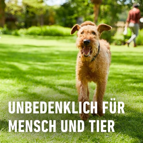Thumbnail 7 de COMPO Rasendünger mit 3 Monaten Langzeitwirkung – Premium Langzeitdünger für 800 m²