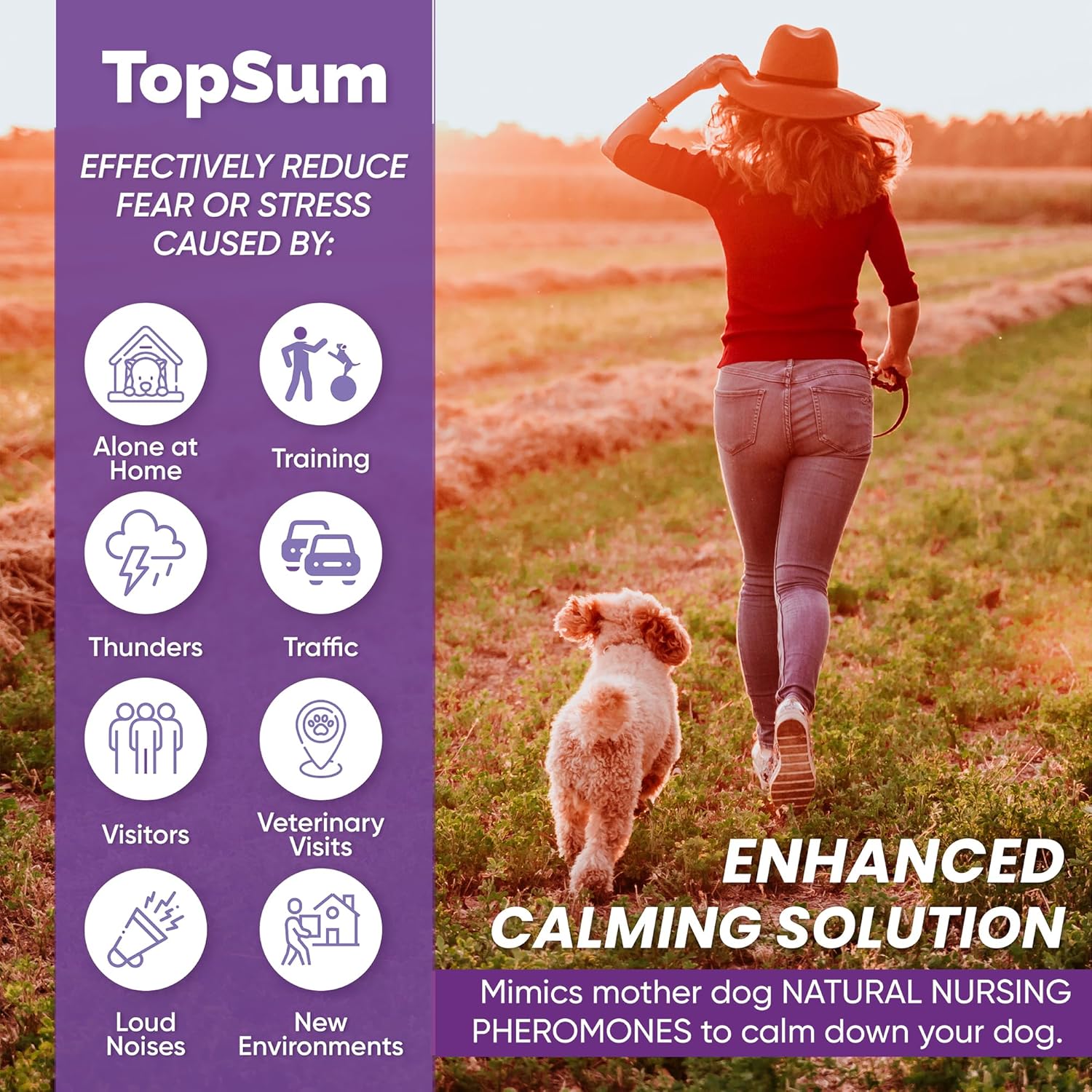 Detalle 2 de TopSum Dog Calming Plug In 700 sq ft 2 Pack
