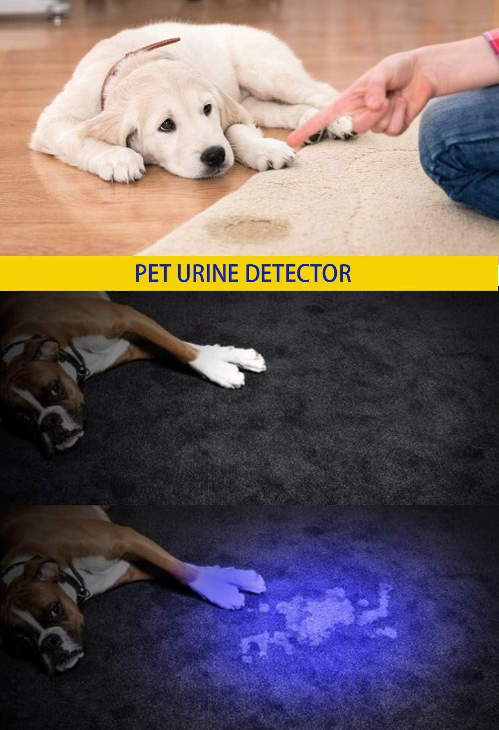Thumbnail 6 de DARKBEAM UV Torch 365nm 395nm detector
