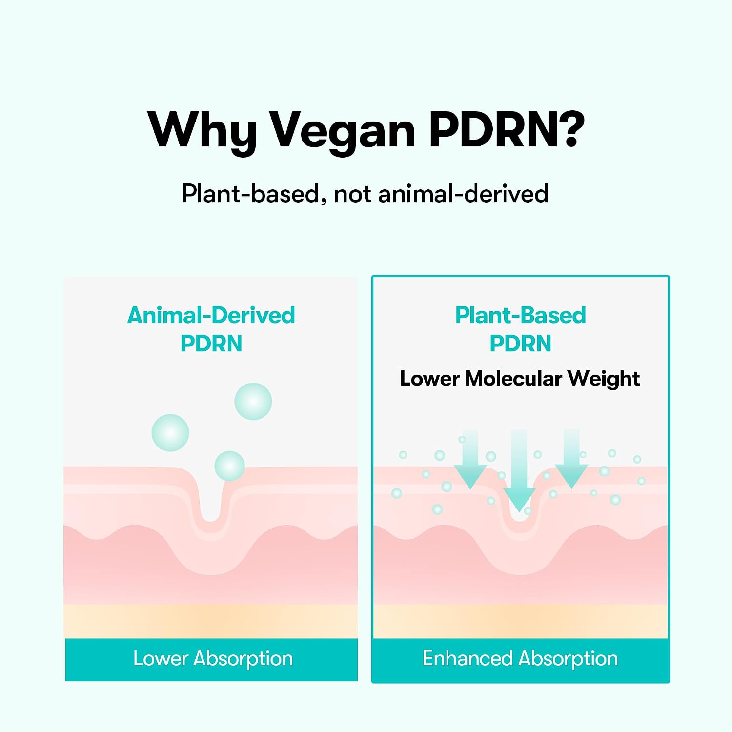 Thumbnail 6 de VT COSMETICS PDRN Glow Ampoule & PDRN Facial Mist: Deep Hydration in a Feather-Light Spray