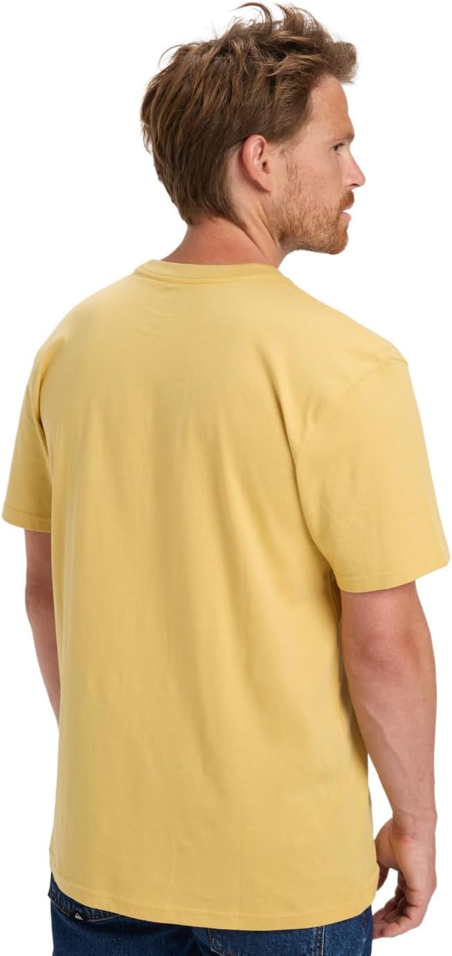 Detalle de Quiksilver Basic SS Tee Young T-Shirt Uomo – Pacco da 1, cotone 160 g/m², stile casual
