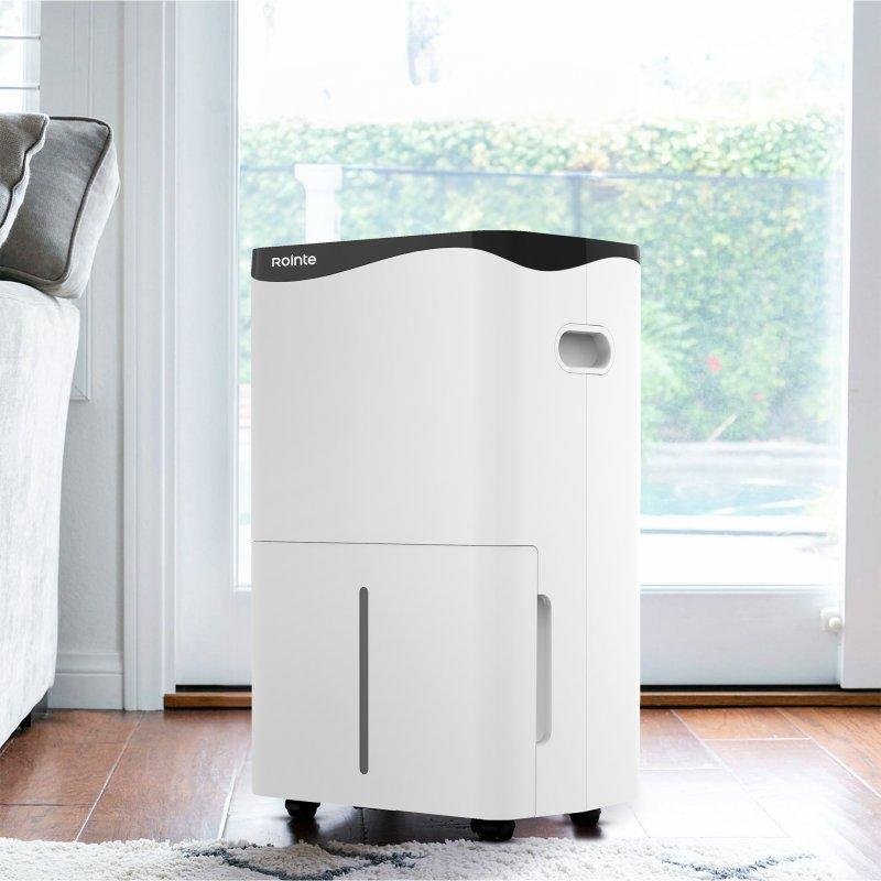 Detalle 1 de Rointe Drypure Pro 50L, deshumidificador de hasta 50 litros al día con drenaje continuo
