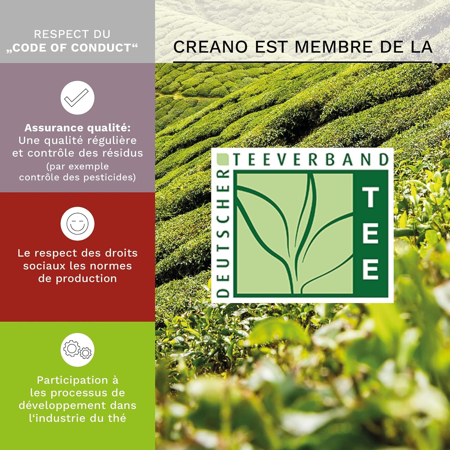 Thumbnail 3 de Creano Coffret 18 Fleurs de thé 🍵