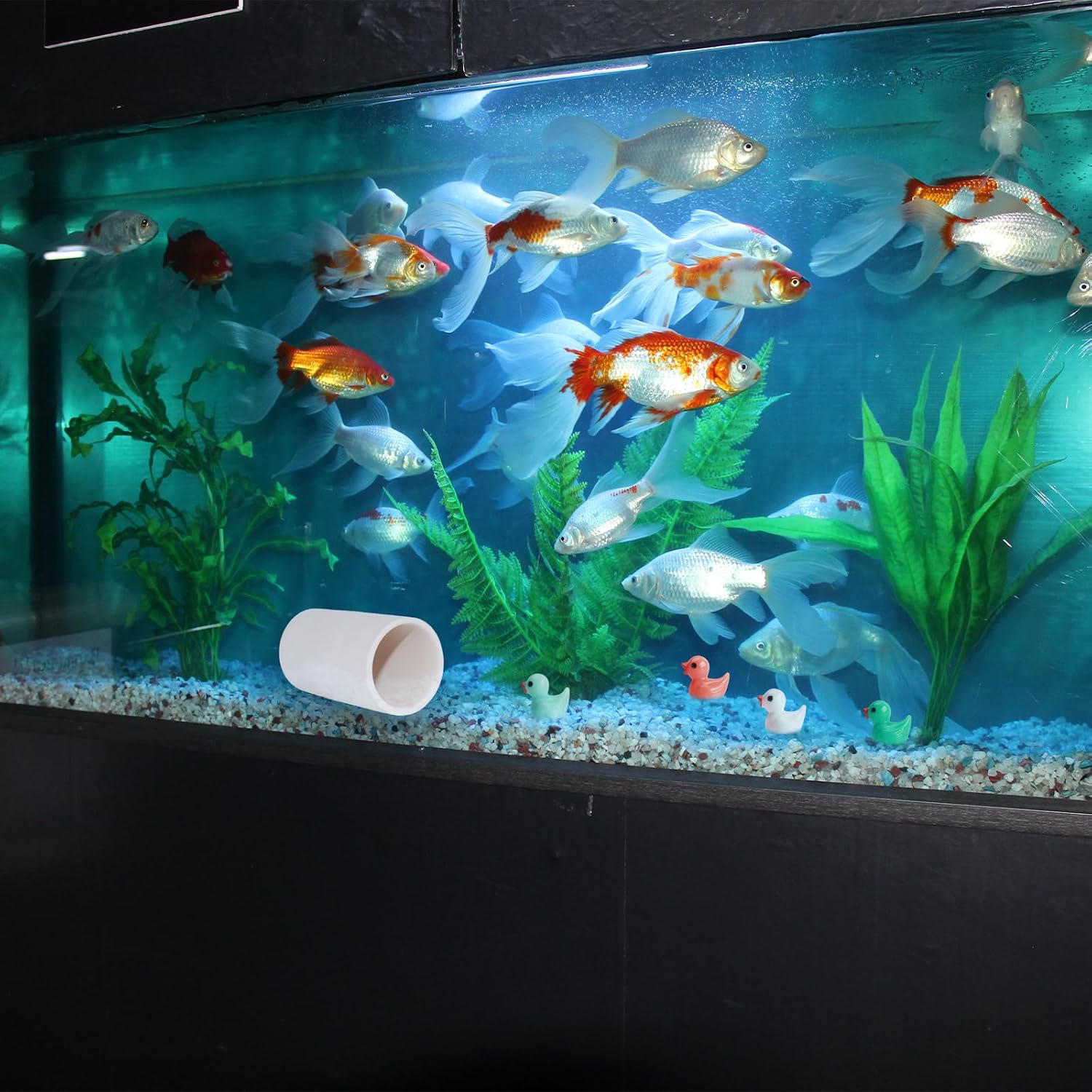 Detalle de MC MEICHUANG Ceramic Shrimp Breeding Cave, 1-Tube Aquarium Shelter