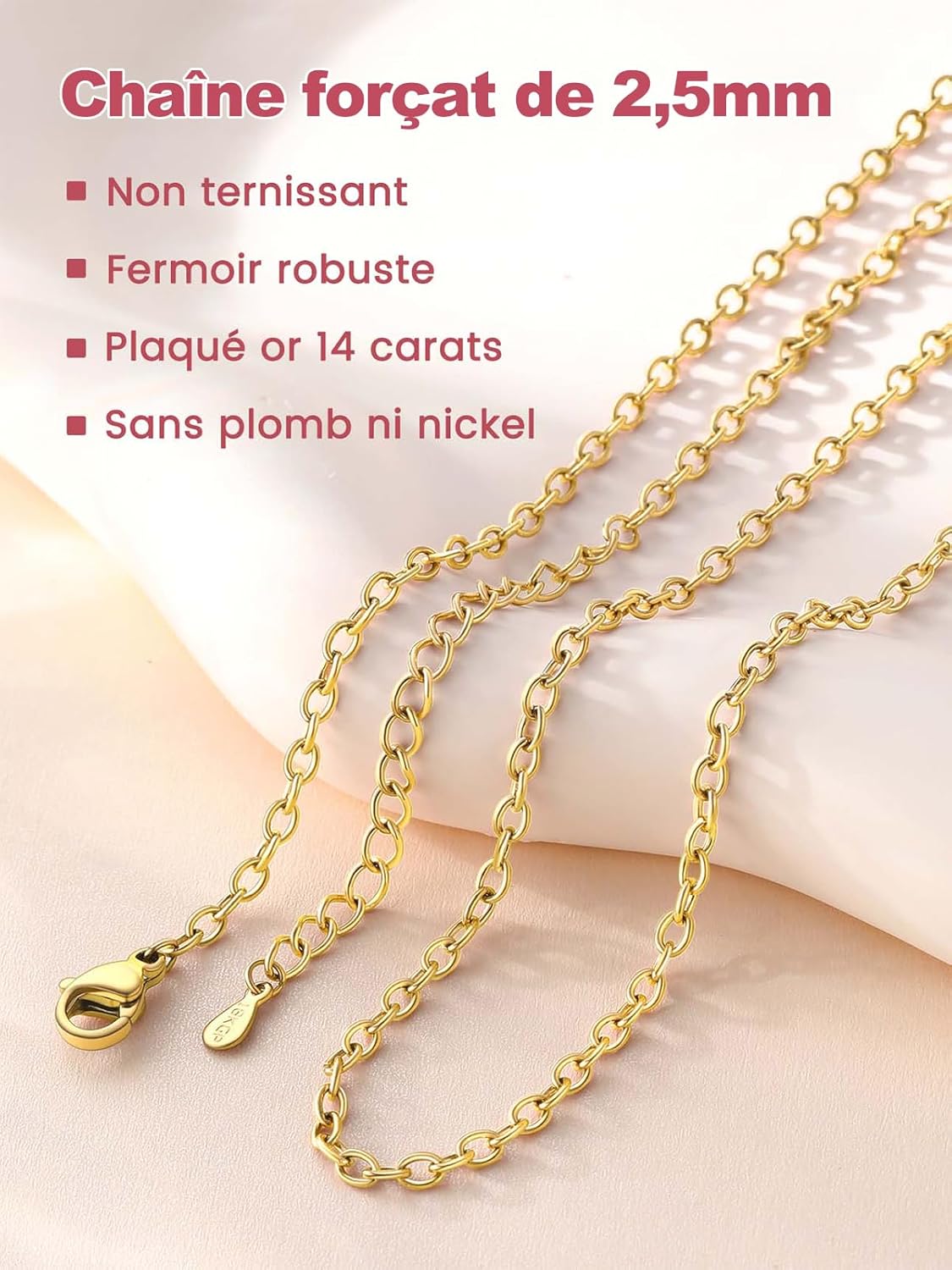 Detalle 2 de FOCALOOK Chaîne Collier Femme 2.5mm—Acier Inoxydable, Plaqué Or/Jour Argent/Nor/Rose | Longueur 45 cm + 5 cm