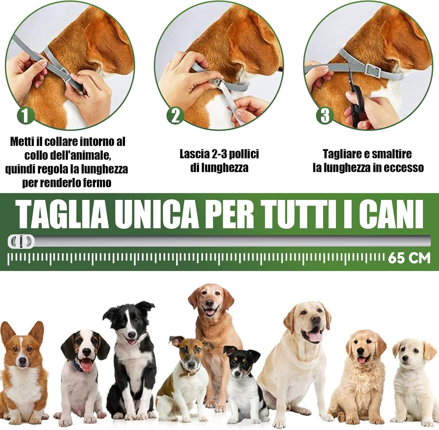 Thumbnail 6 de Collare antipulci e zecche regolabile 63 cm, 8 mesi di protezione