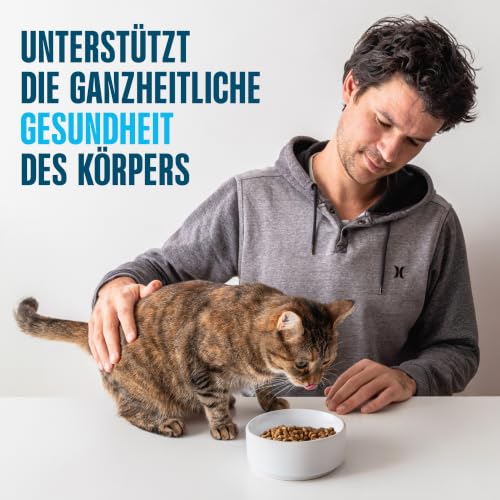 Detalle de Perfect Fit Sensitive Adult 1+ Trockenfutter für Katzen 7 kg Truthahn – gesund Haut, Fell und Verdauung