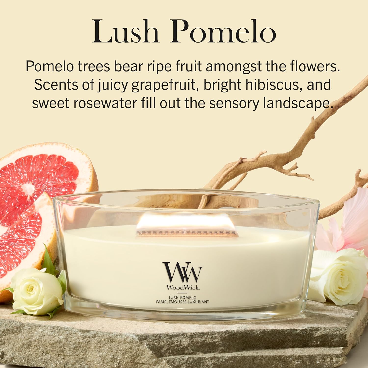 Thumbnail 1 de WoodWick Bougie parfumée Bougie Ellipse Pamplemousse luxuriant – un cadeau élégant pour femmes
