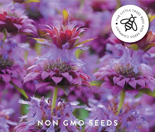 Detalle de Gourmet Edible Flower Seed Kit — 8 Varieties by The Little Trees Bees & Seeds Company