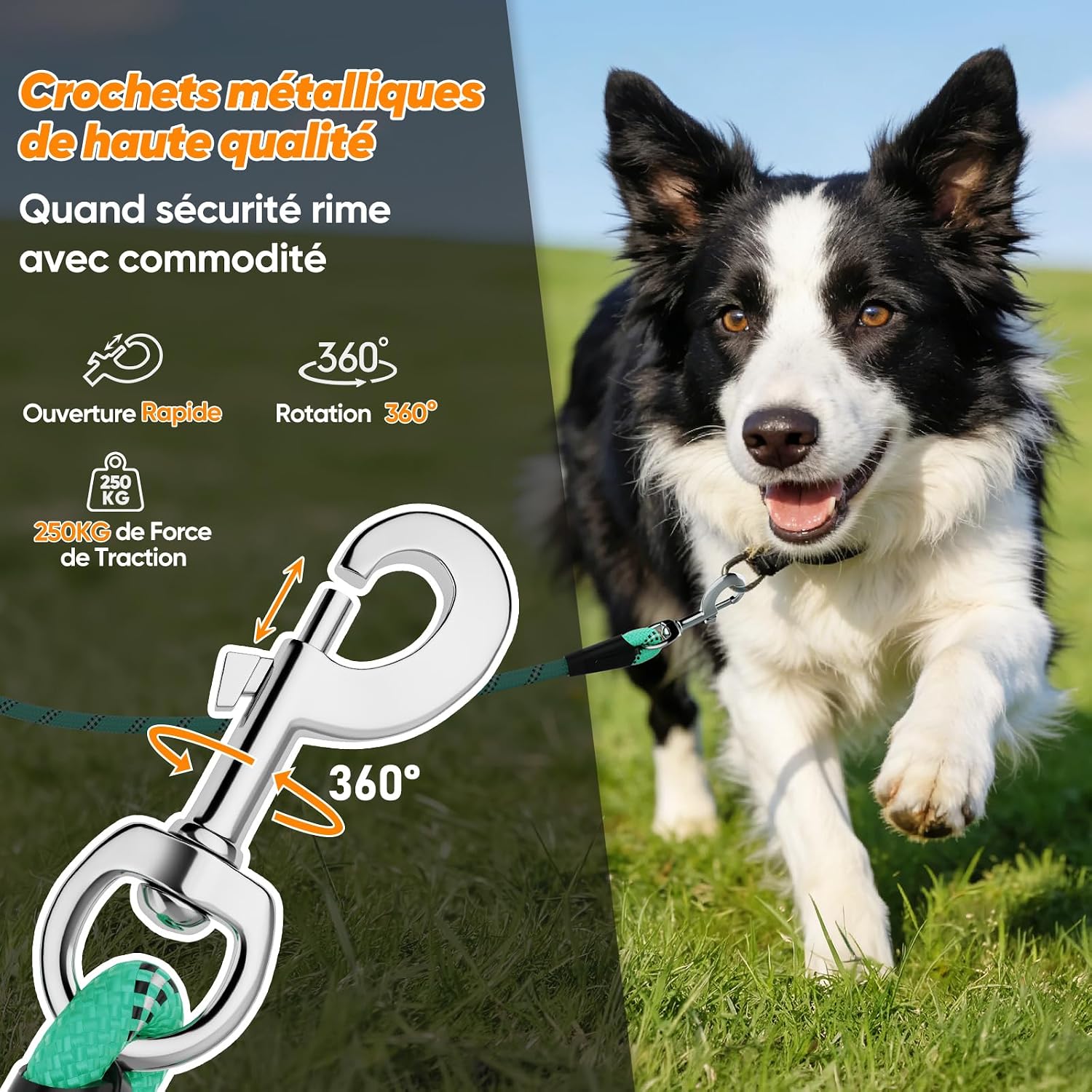 Detalle 2 de Aystkniet longe pour chien avec crochets pivotants, laisse de dressage en corde (jusqu’à 20 m)