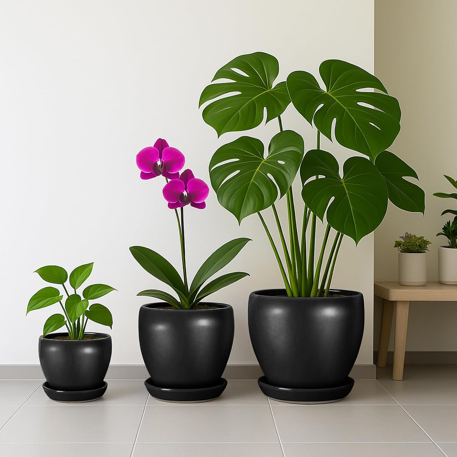 Detalle 2 de Deep Dream 6-Inch Ceramic Planter with Drainage Hole and Tray, Matte Black