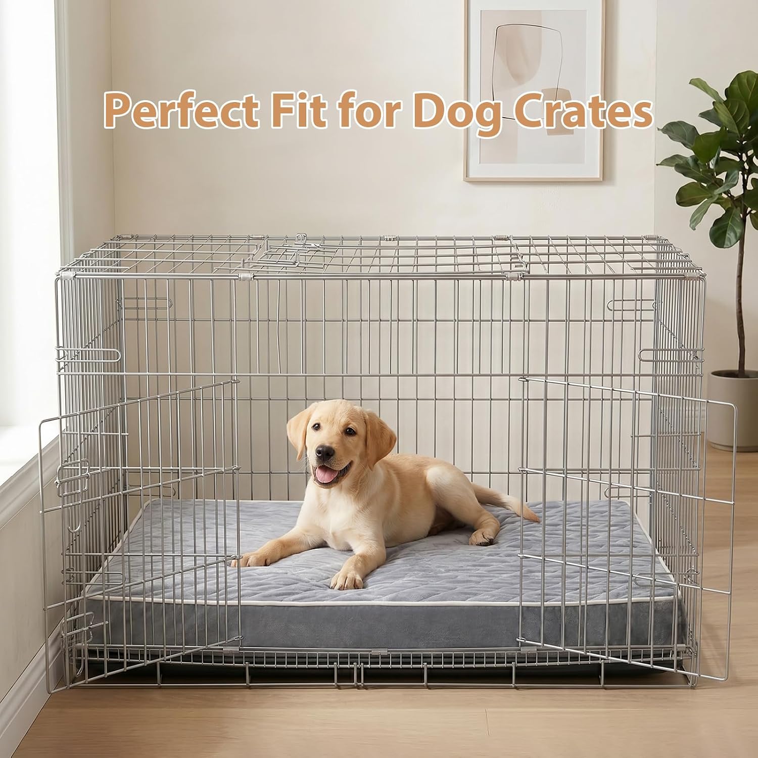 Thumbnail 6 de WNPETHOME Orthopedic XXL Dog Bed 47x29 in