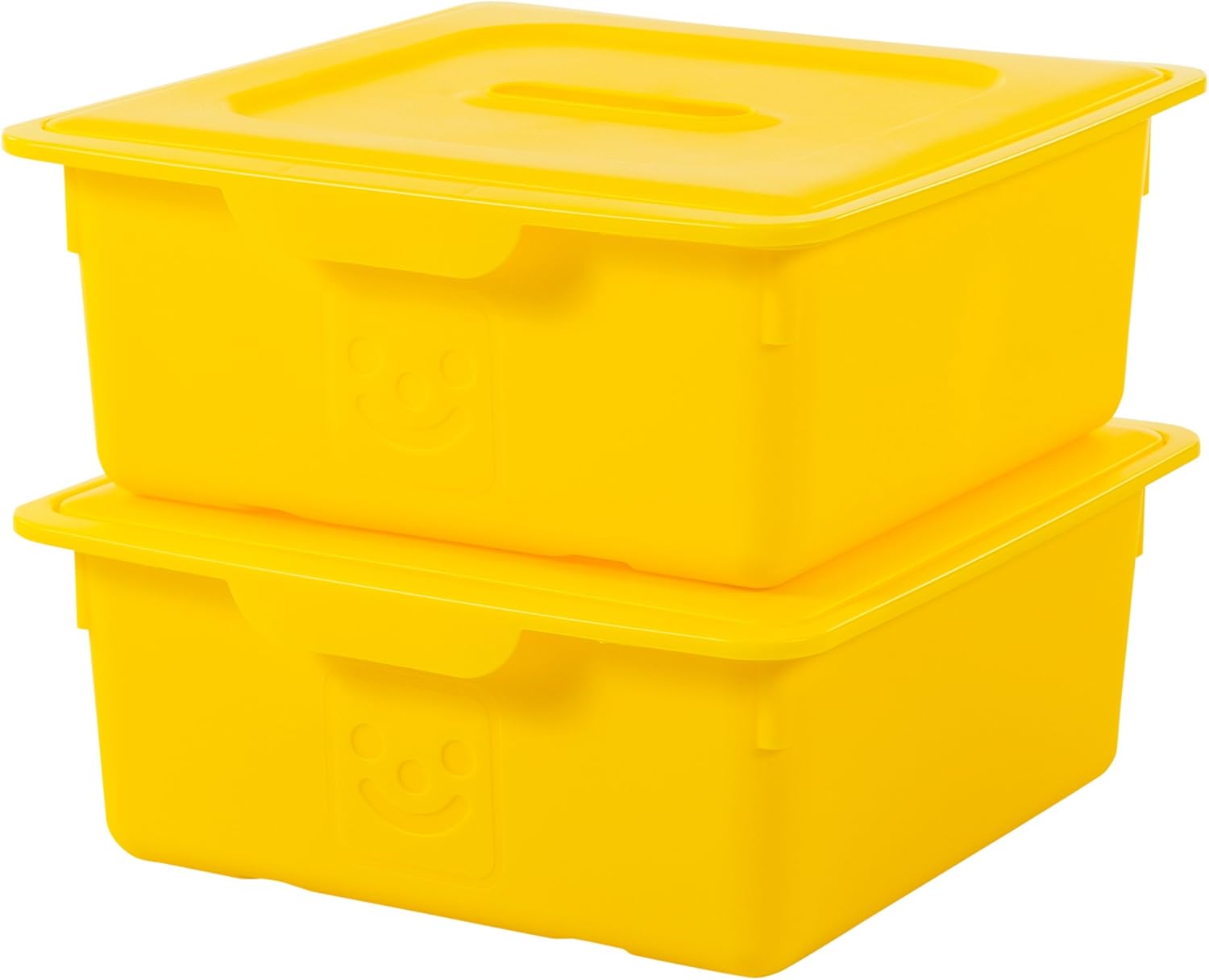 Detalle de Iris Ohyama KDL-330 scatola portaoggetti 10 L