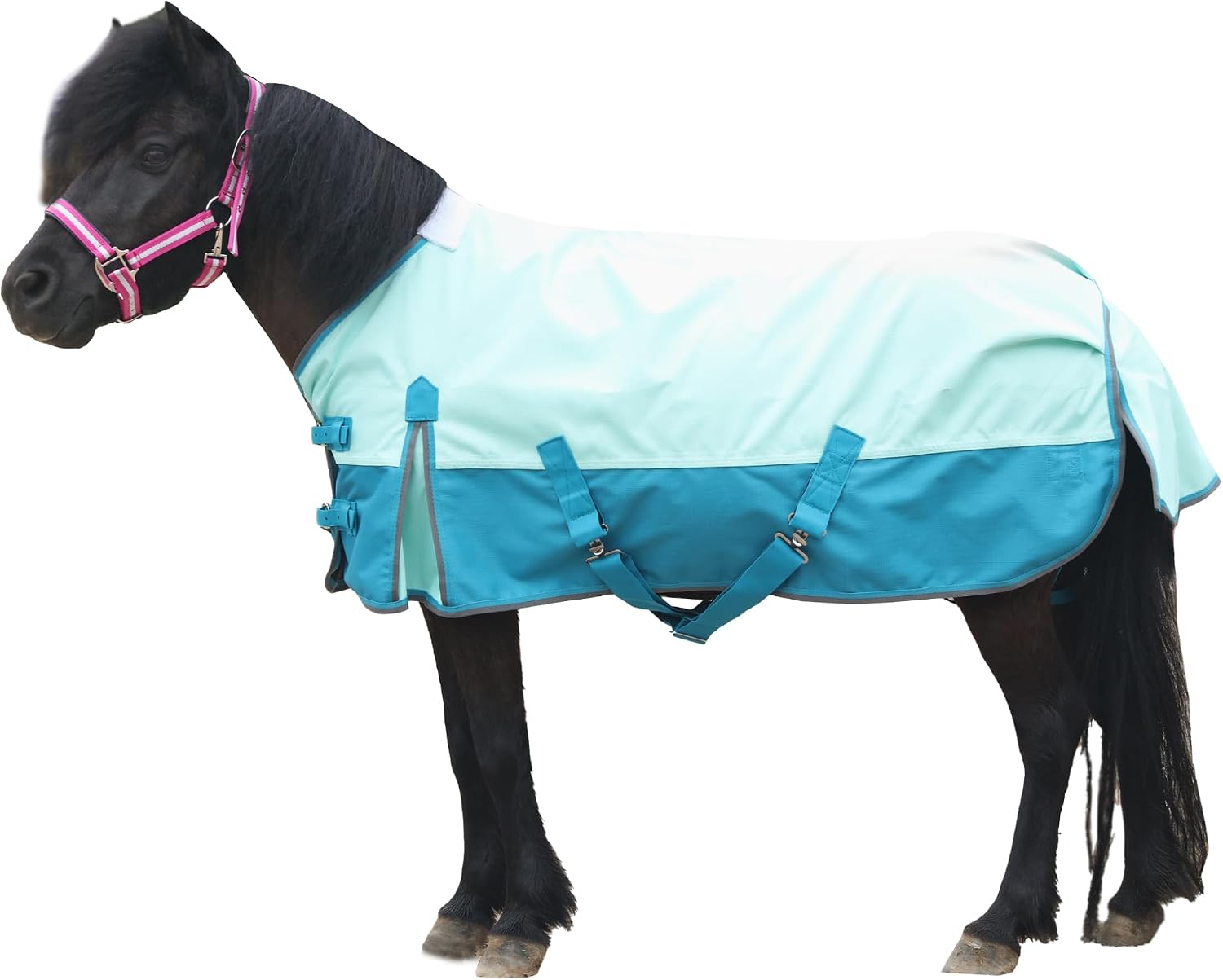 Thumbnail 6 de Leberna Pony Turnout Rug 1200D Waterproof Lightweight Rain Sheet (No Fill) – Star, 3'0