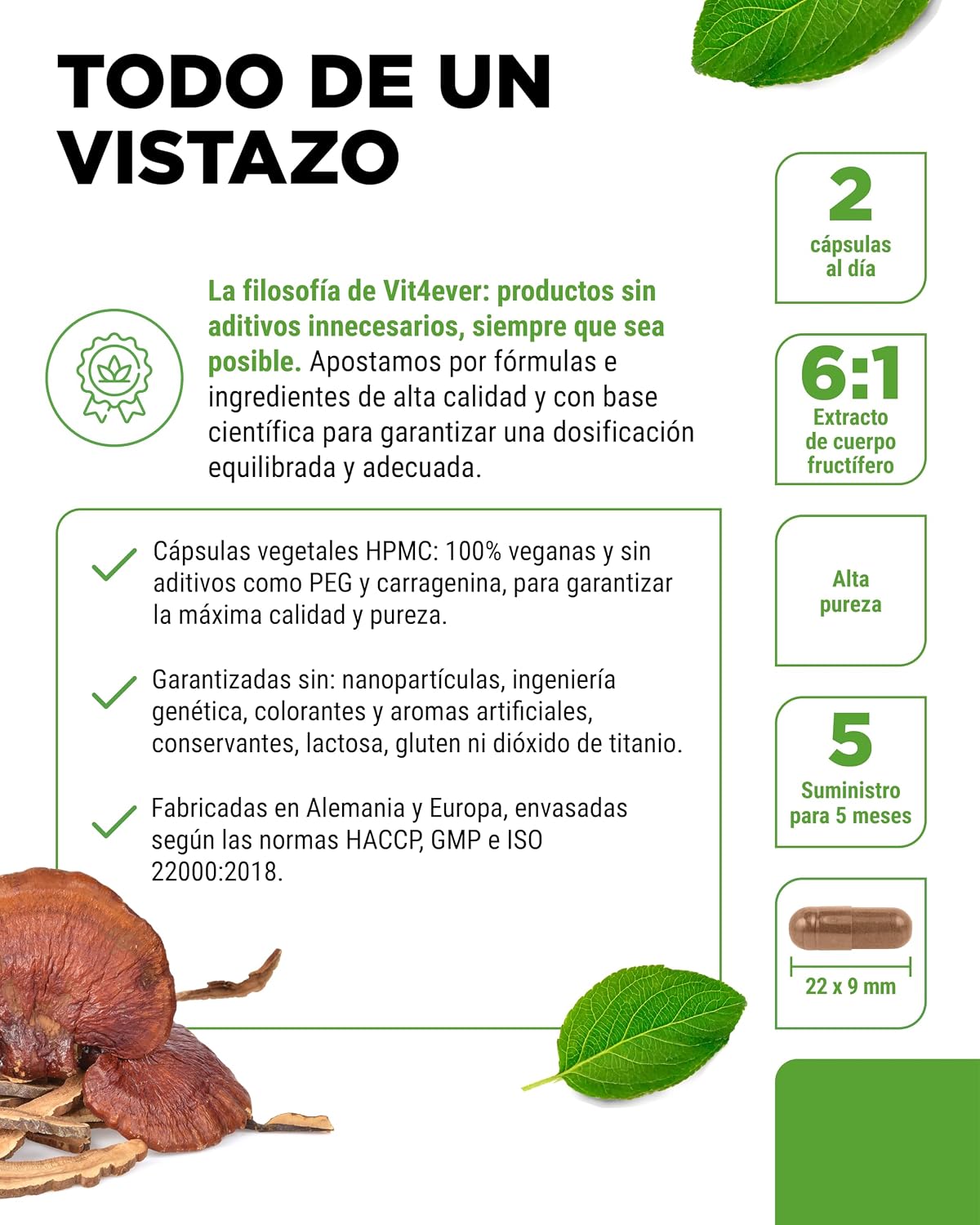 Detalle 2 de Reishi 270 cápsulas veganas 1300 mg