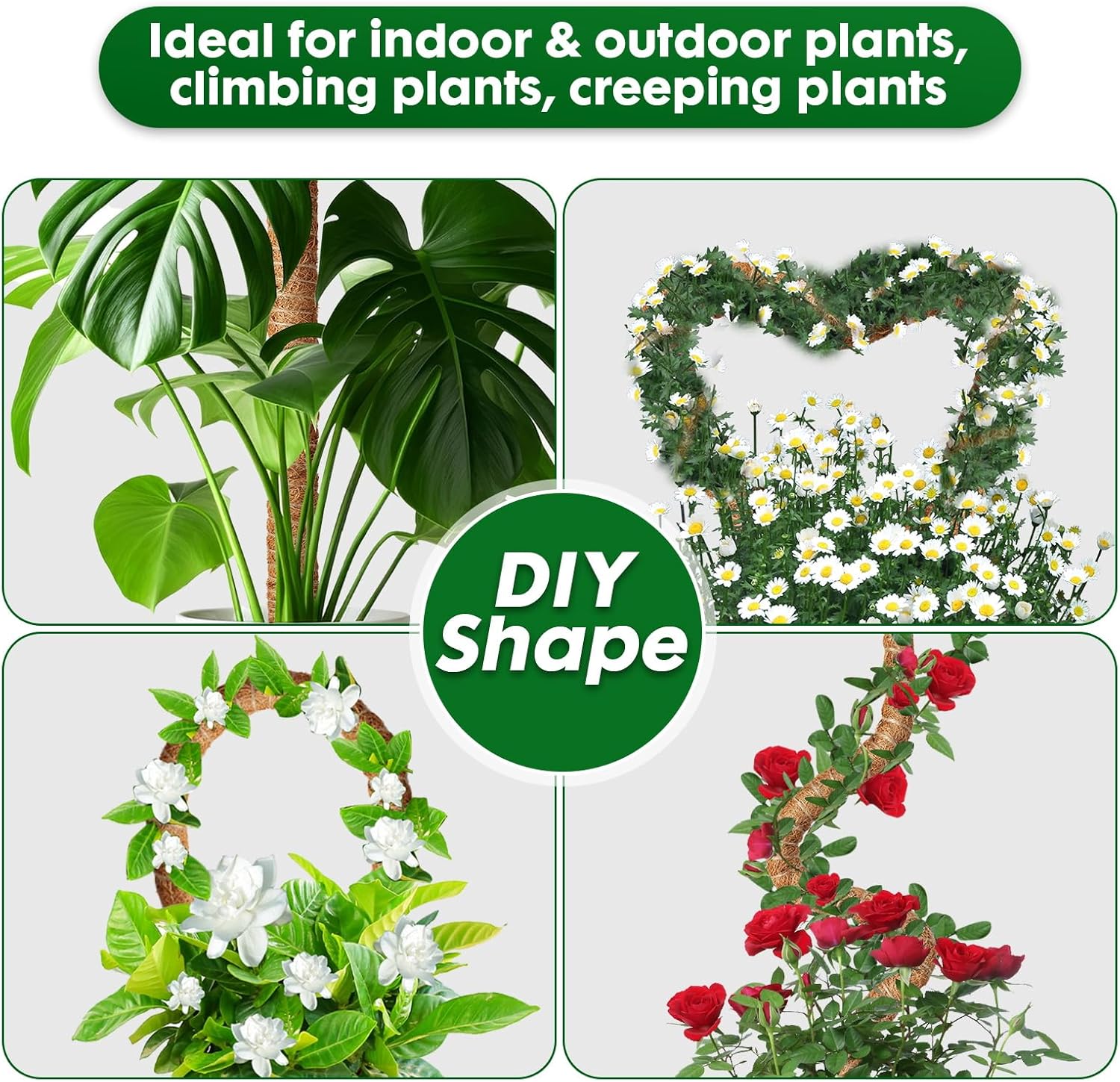 Thumbnail 3 de Mactoou Moss pole 4 pack, 65cm coir support