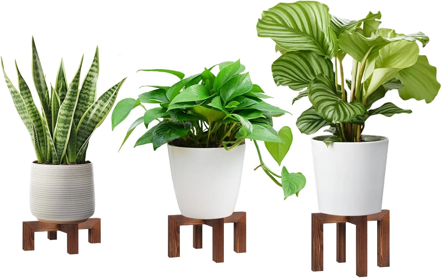Detalle de Yedcxup plantenstandaards van hout, set van 3 in drie hoogtes met X-design