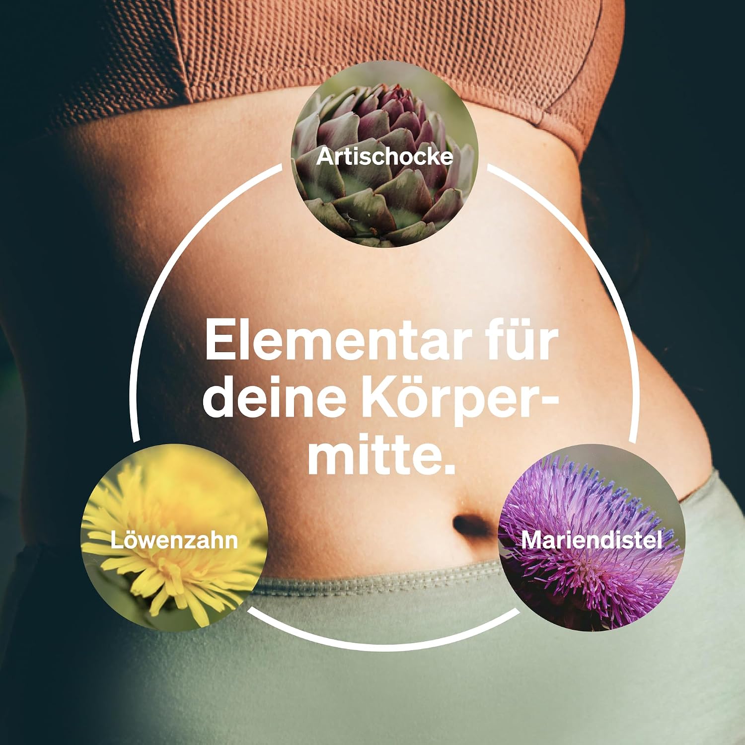 Detalle 2 de natural elements Mariendistel-Komplex 120 Kapseln, 80% Silymarin