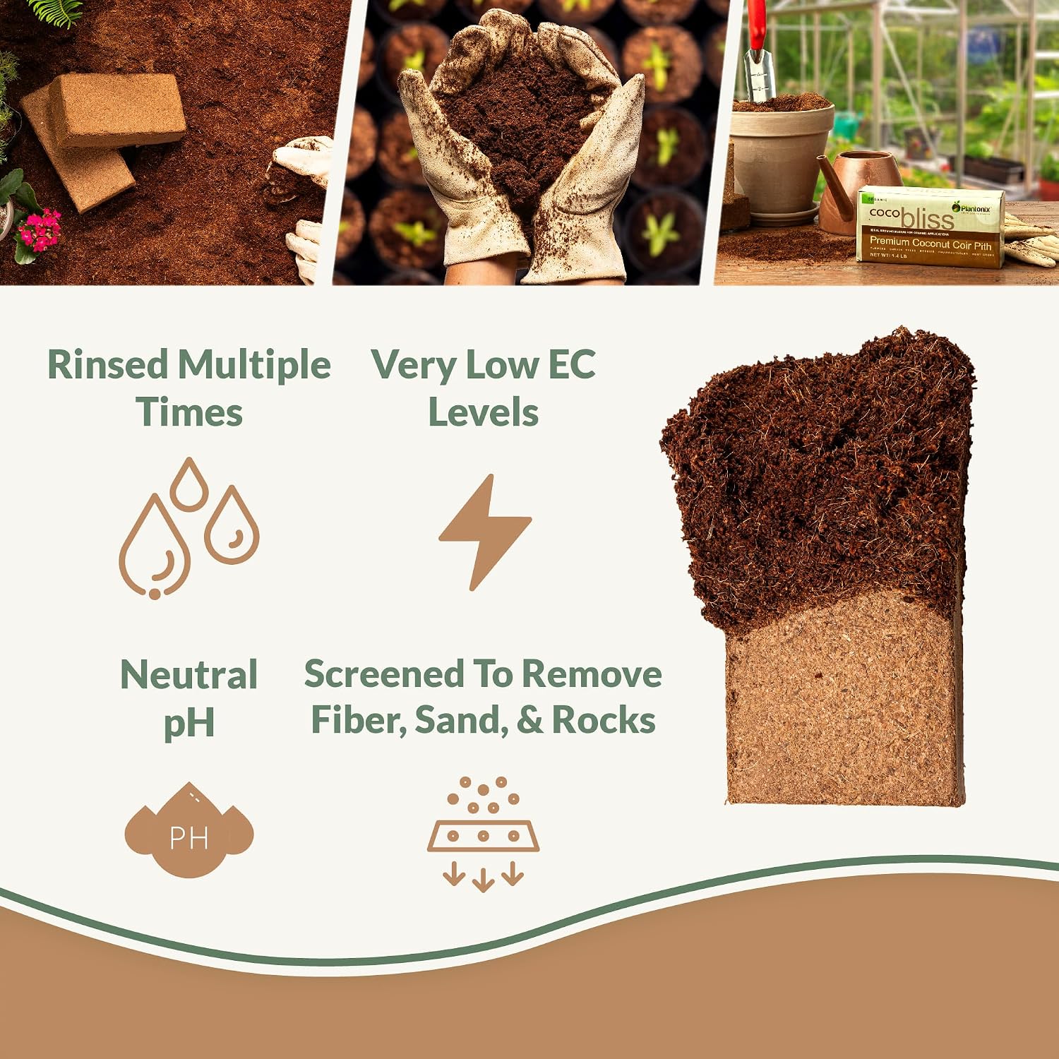 Detalle 2 de Plantonix Coco Bliss Coco Coir Bricks, 650 g, 10-Pack, OMRI-Listed