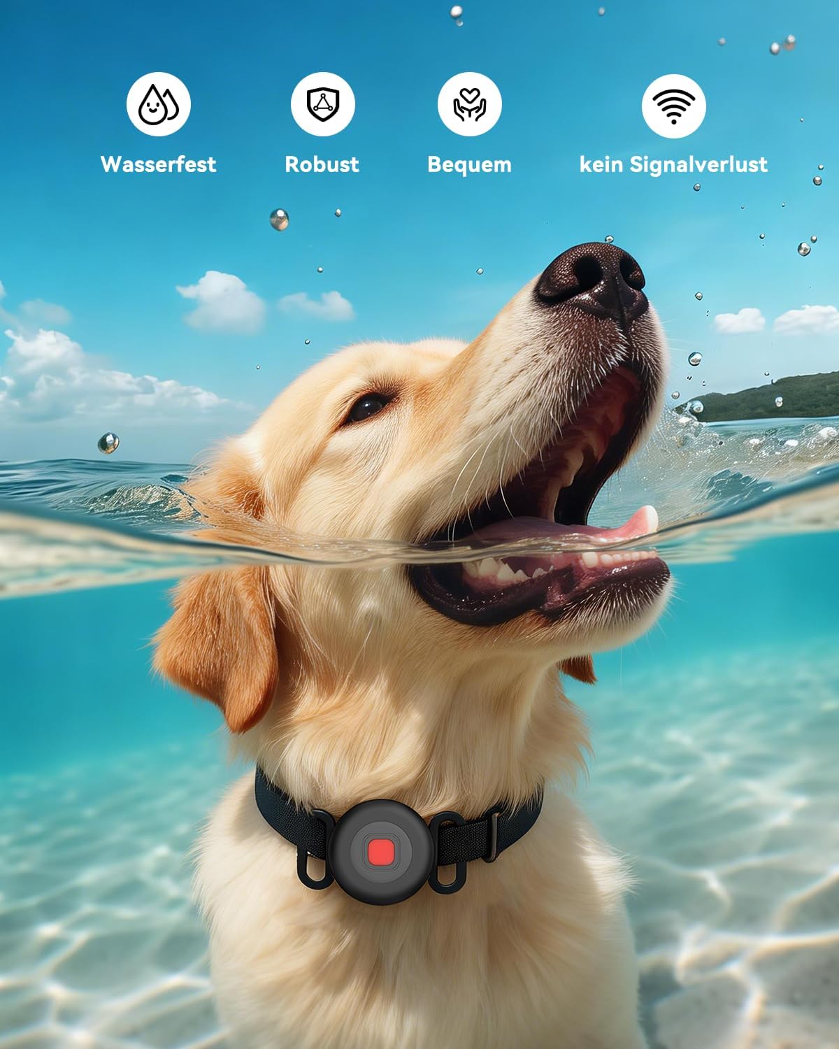 Detalle de Hund GPS Tracker für Android ohne ABO – 4er Pack, Wasserfest, Google Find Hub kompatibel