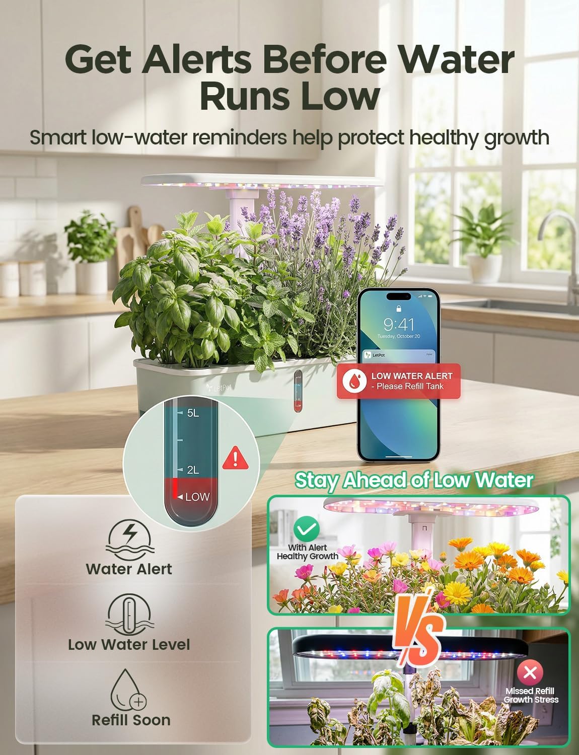 Thumbnail 4 de LetPot LPH-Air WiFi Hydroponisches Anzuchtsystem – Intelligentes Indoor-Gartenkit mit 24W LED