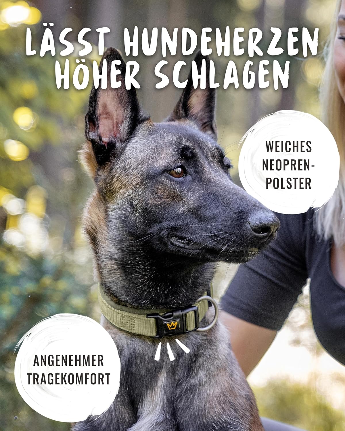 Detalle 2 de Rudelkönig Hundehalsband Bella – verstellbares Nylon-Halsband für große Hunde in Khaki