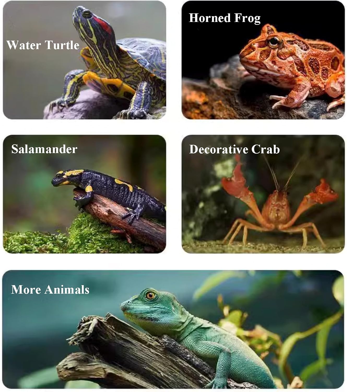 Thumbnail 3 de JVHLOV Fish Tank Ornaments Resin Aquarium Cave (Hollow Tree Trunk) for Betta, Axolotls & Shrimp