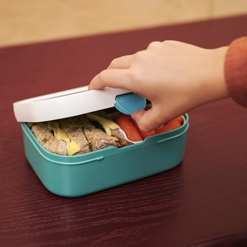 Detalle de Mepal Campus Bento Box para Niños (750 ml) – Fiambrera con Tenedor y Compartimentos, sin BPA y lavavajillas, temática Hot Wheels