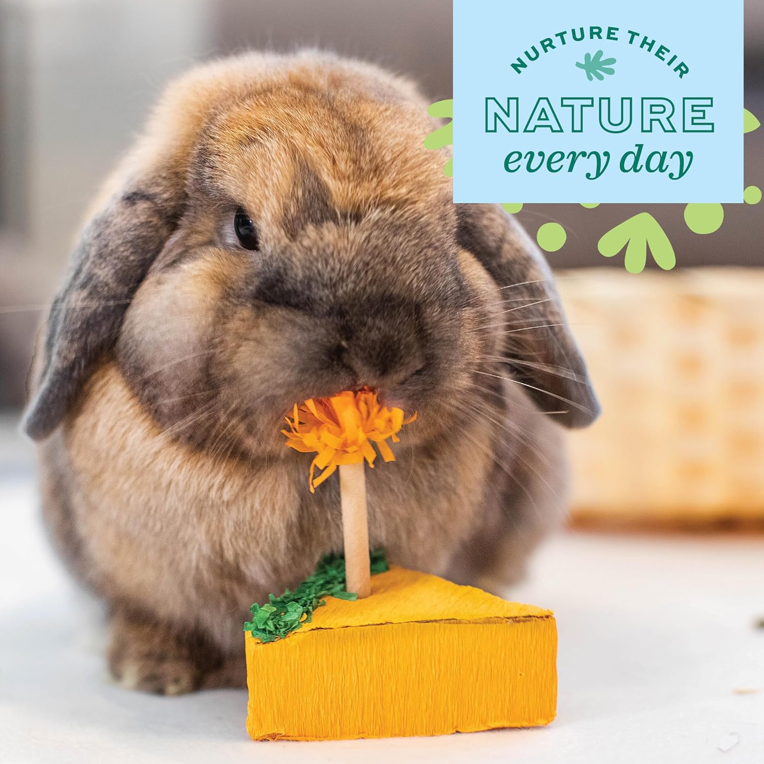 Thumbnail 6 de Oxbow Enriched Life Pack Fête d'anniversaire – Jouets d'enrichissement pour lapins et petits animaux