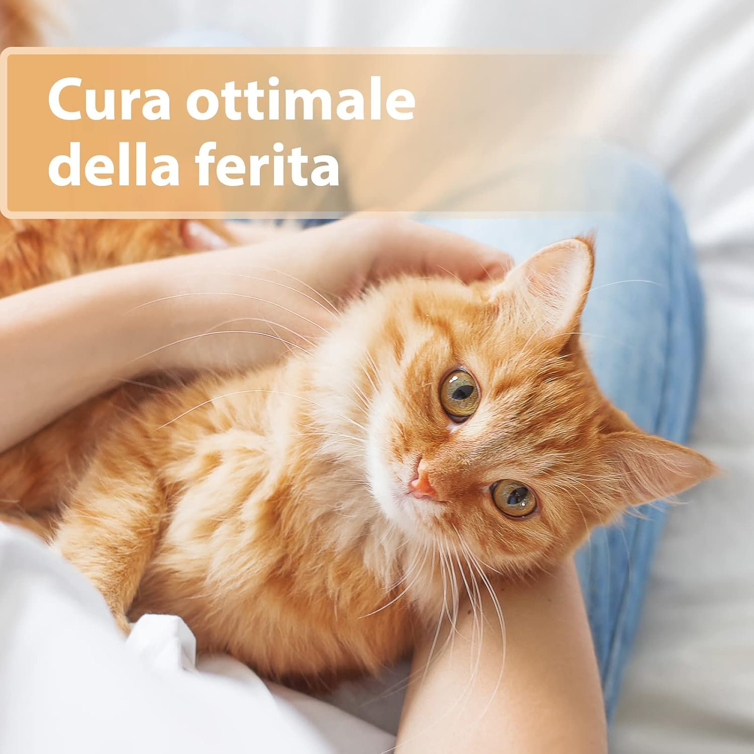 Thumbnail 1 de Felisept Gel per ferite per gatti 20ml – Unguento antisettico per la cura delle ferite