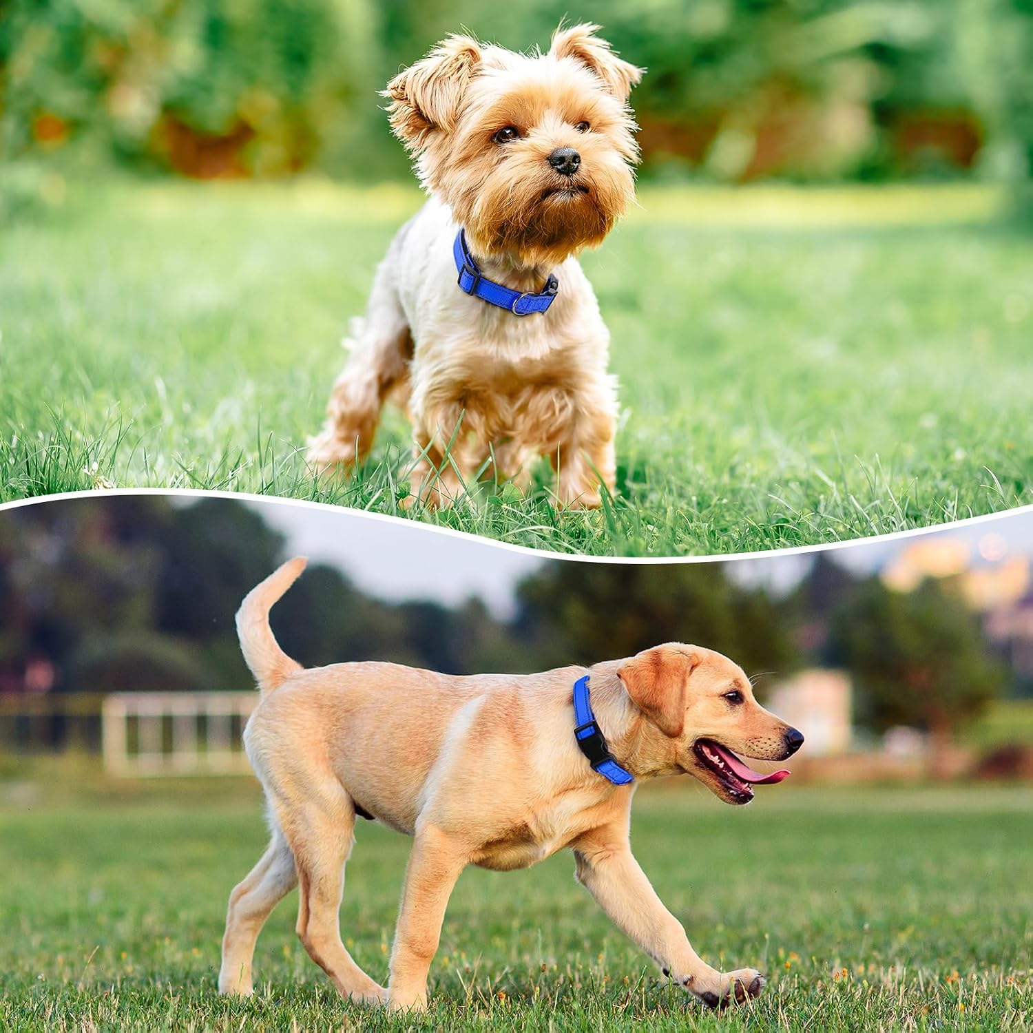 Detalle 2 de PenSeepet Reflective Dog Collar, Nylon