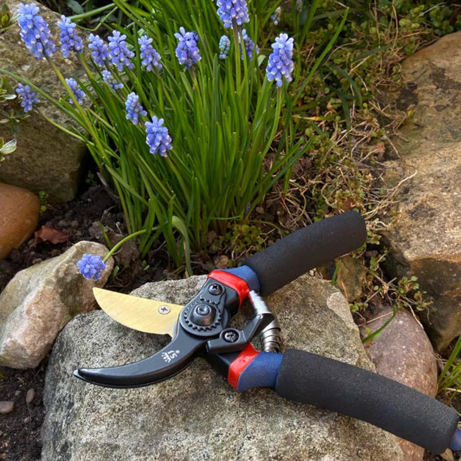 Detalle 2 de Spear & Jackson 6658TITAN Razorsharp Titanium Garden Secateurs