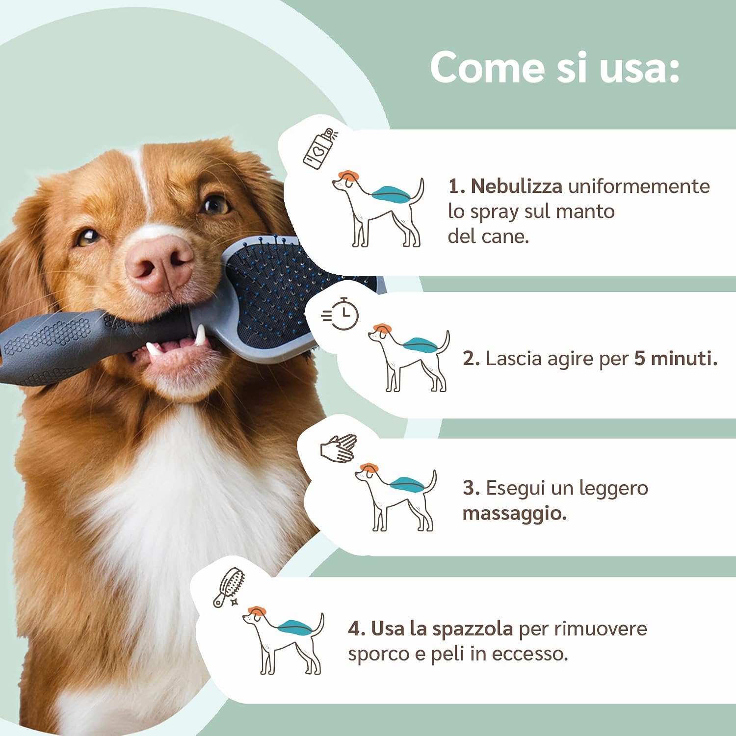Detalle de amusi Shampoo Secco per Cani 250 ml Antiodore – spray senza risciacquo, naturale e vegano