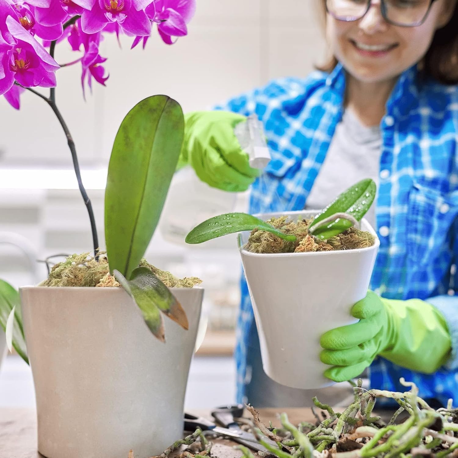 Thumbnail 4 de Halatool 1000g Premium Sphagnum Moos – Vielseitiges Torfmoos für Orchideen, Terrarien und Zimmerpflanzen
