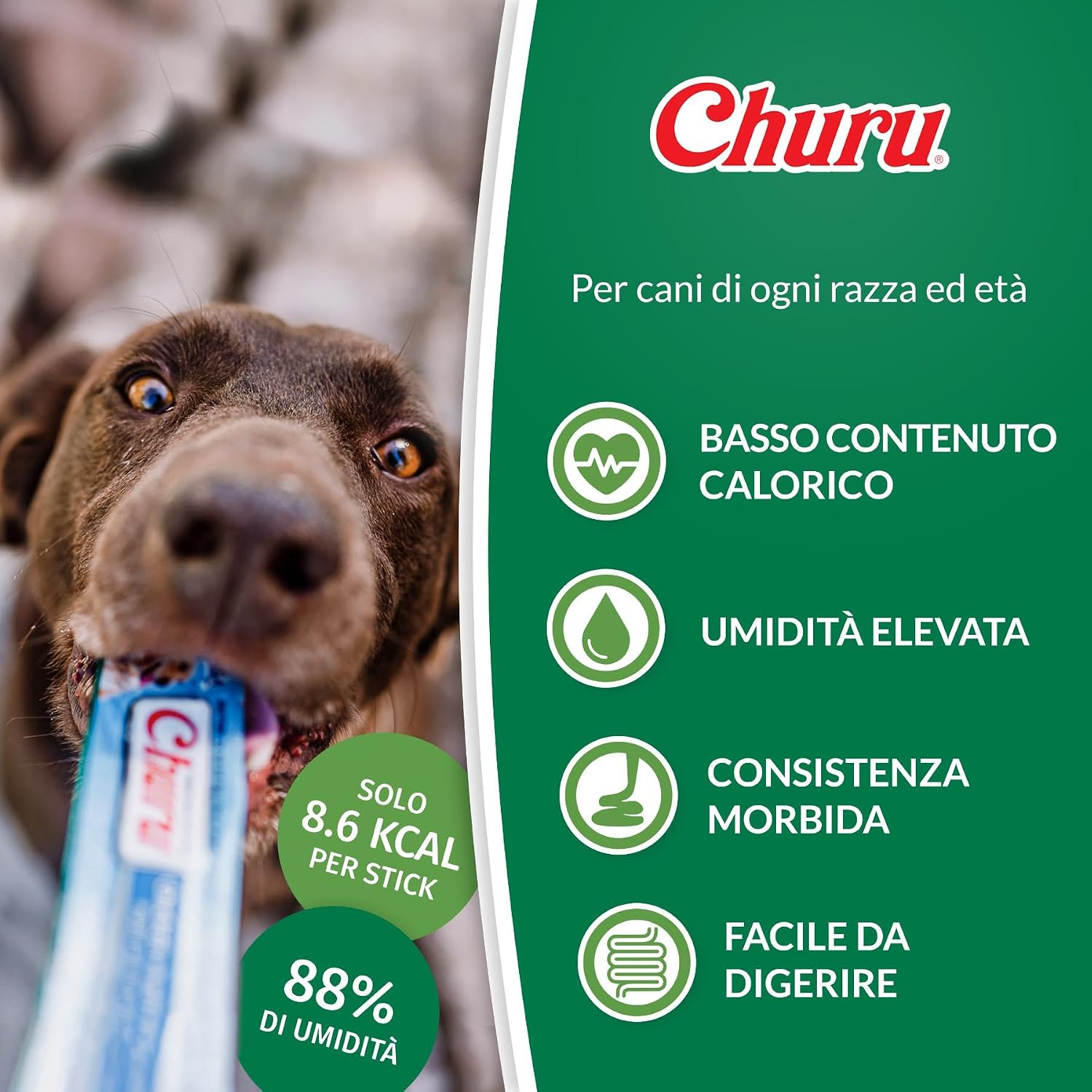 Detalle de INABA Churu Snack Cremoso al Pollo e Frutti di Mare – 20 Stick da 14 g per Cani