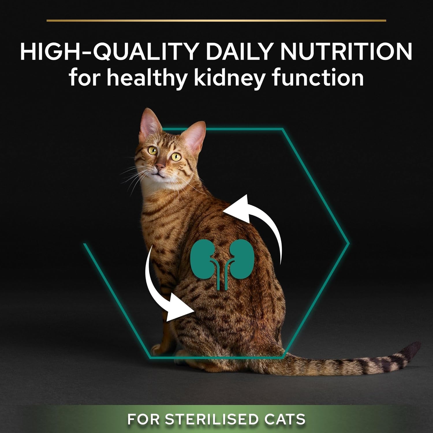 Detalle de Purina Pro Plan Sterilised Renal Plus Crocchette Gatti Adulti Ricco in Tacchino 3kg