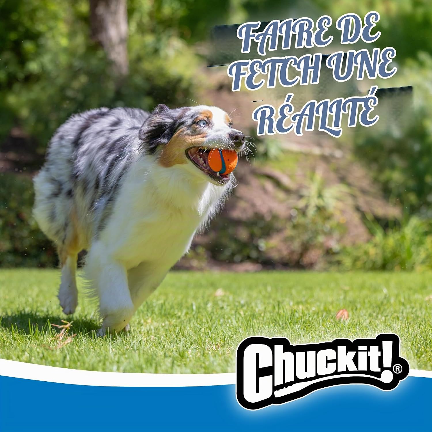 Thumbnail 2 de Chuckit! Ultra Balls Taille Moyenne – Lot de 2 pour tous les chiens