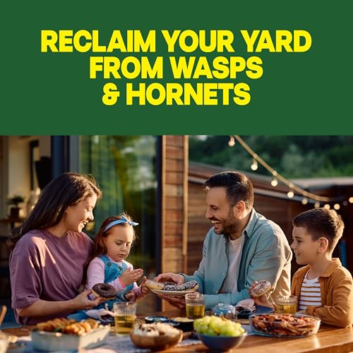 Detalle de Raid Wasp & Hornet Killer Spray — 2-Pack, 14 oz Each (Kills Entire Nest)