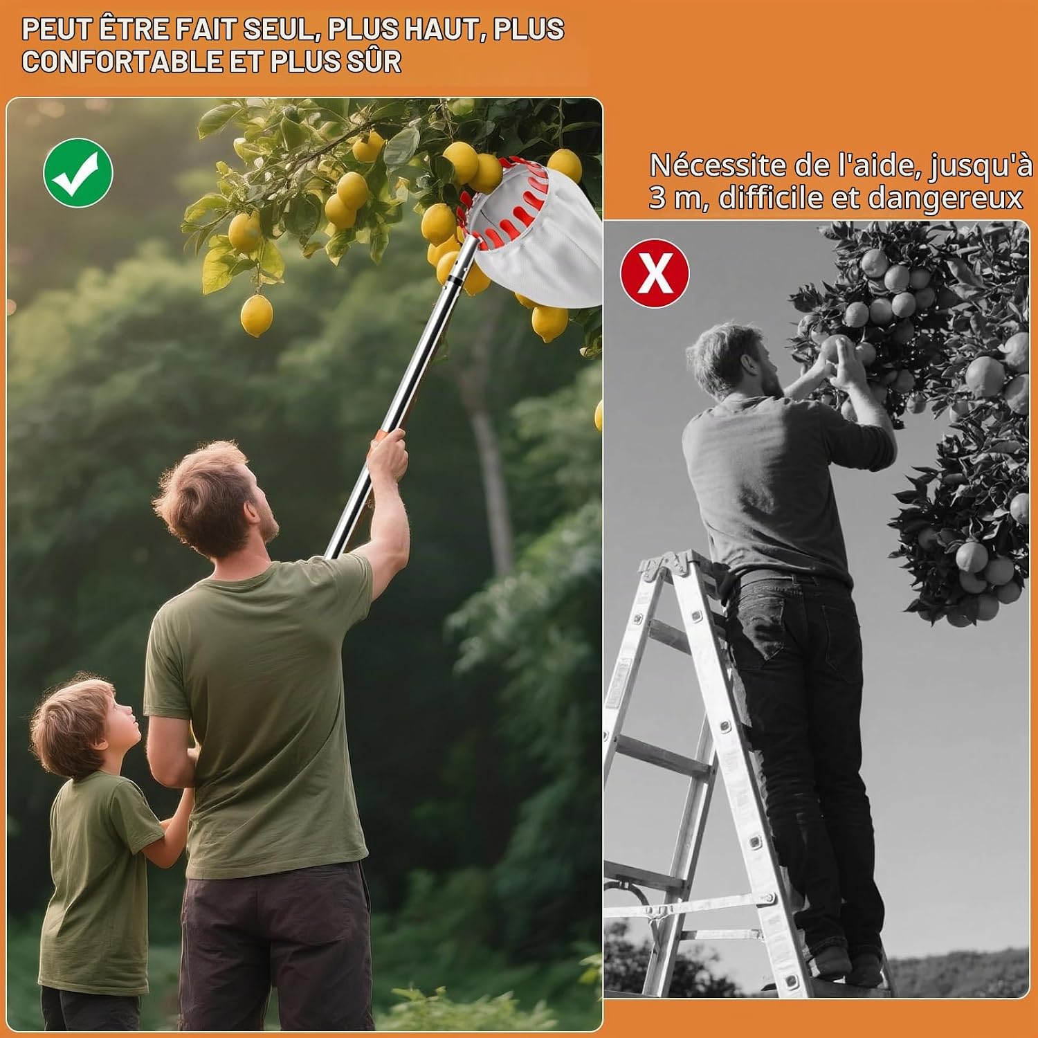 Detalle 2 de Apple Picker telescopische fruitplukker met plukzak van 16 cm en steel tot 4,2 m