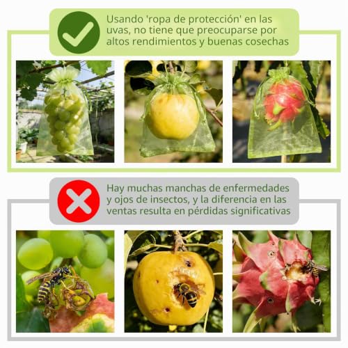 Thumbnail 5 de 60 Piezas de Bolsas para Uvas en Parra con Cordón de Vegamall (Organza 20x30 cm) + 5 Placas Adhesivas Antiinsectos