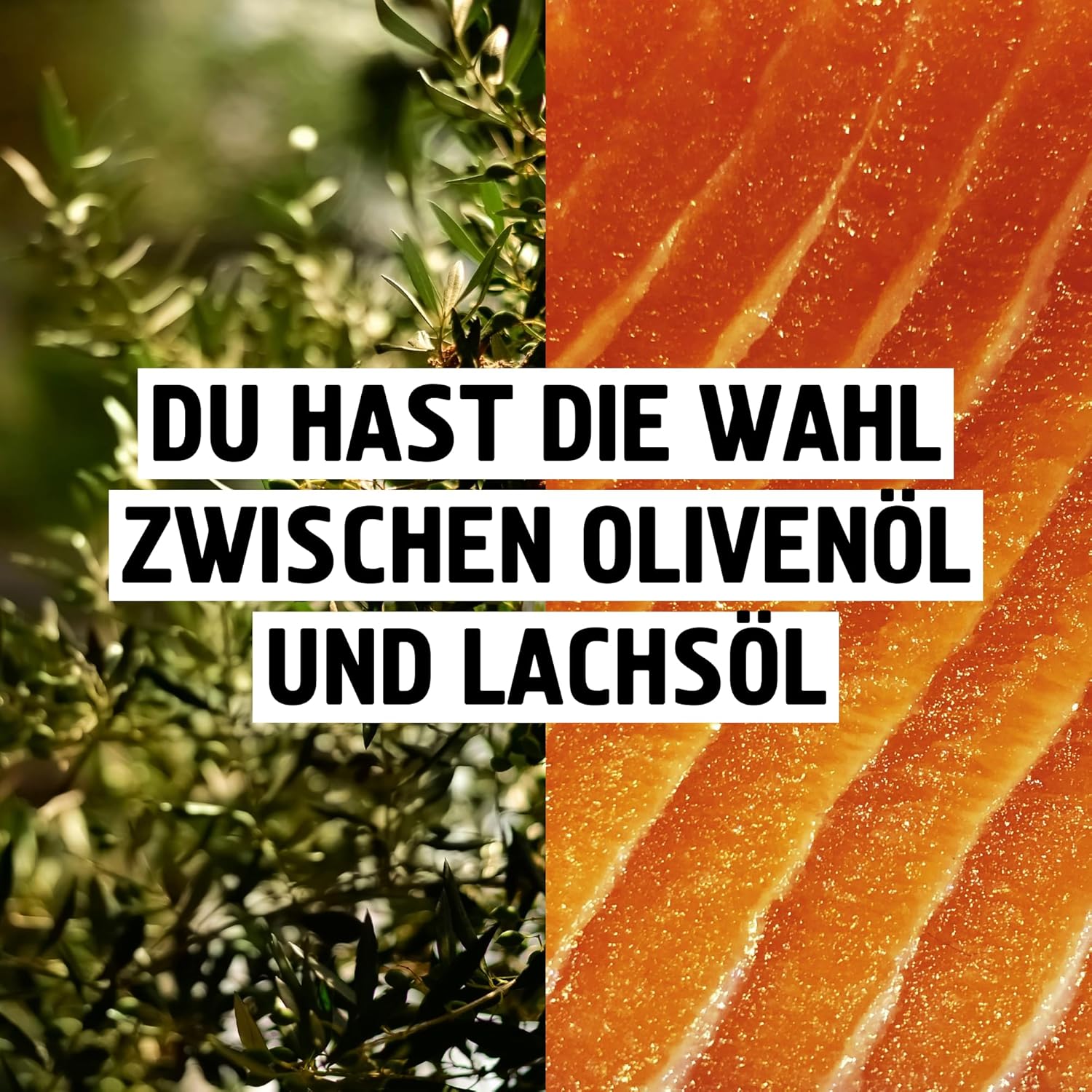 Thumbnail 6 de Kauies Olivenholz Kaustab für Hund mit Olivenöl (vegan, kalorienfrei) – 2er Pack, Größe S bis 10 kg