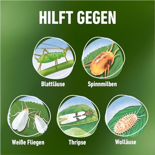 Thumbnail 8 de COMPO Grün- und Blühpflanzen Schädlings-frei AF 750ml – Hochwirksamer Schutz für Zierpflanzen