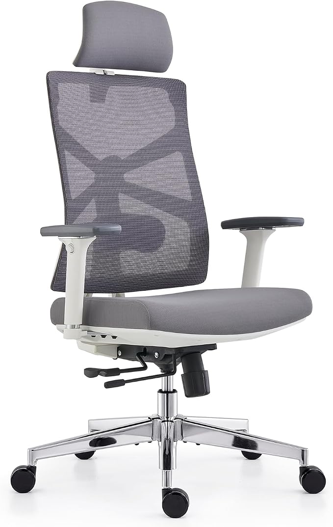 Detalle de HOLLUDLE Silla de Oficina Ergonómica con Reposabrazos y Lumbar