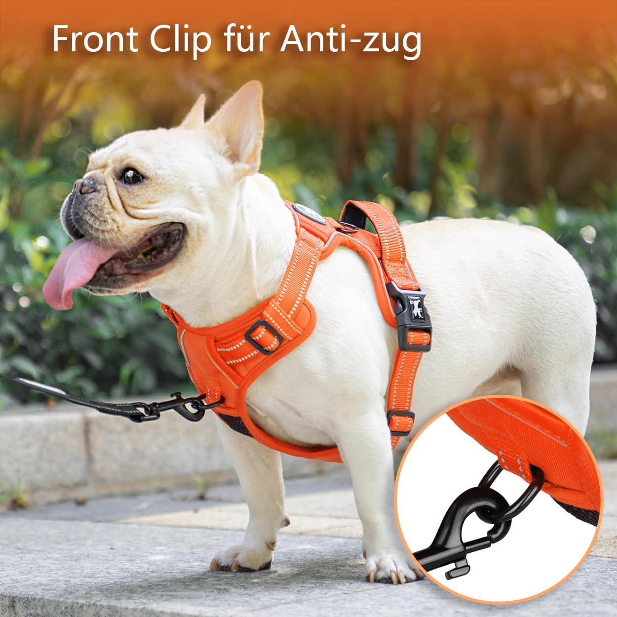Thumbnail 3 de PoyPet Keine Pull Hundegeschirr mit reflektierender Weste, Easy Control-Griff und 4-fach verstellbaren Riemen (Orange, M)