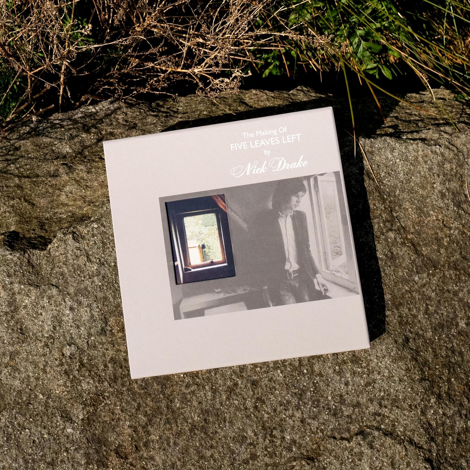 Detalle 1 de Nick Drake The Making Of Five Leaves Left 4枚組LP デモ・アウトテイク・未発表曲収録