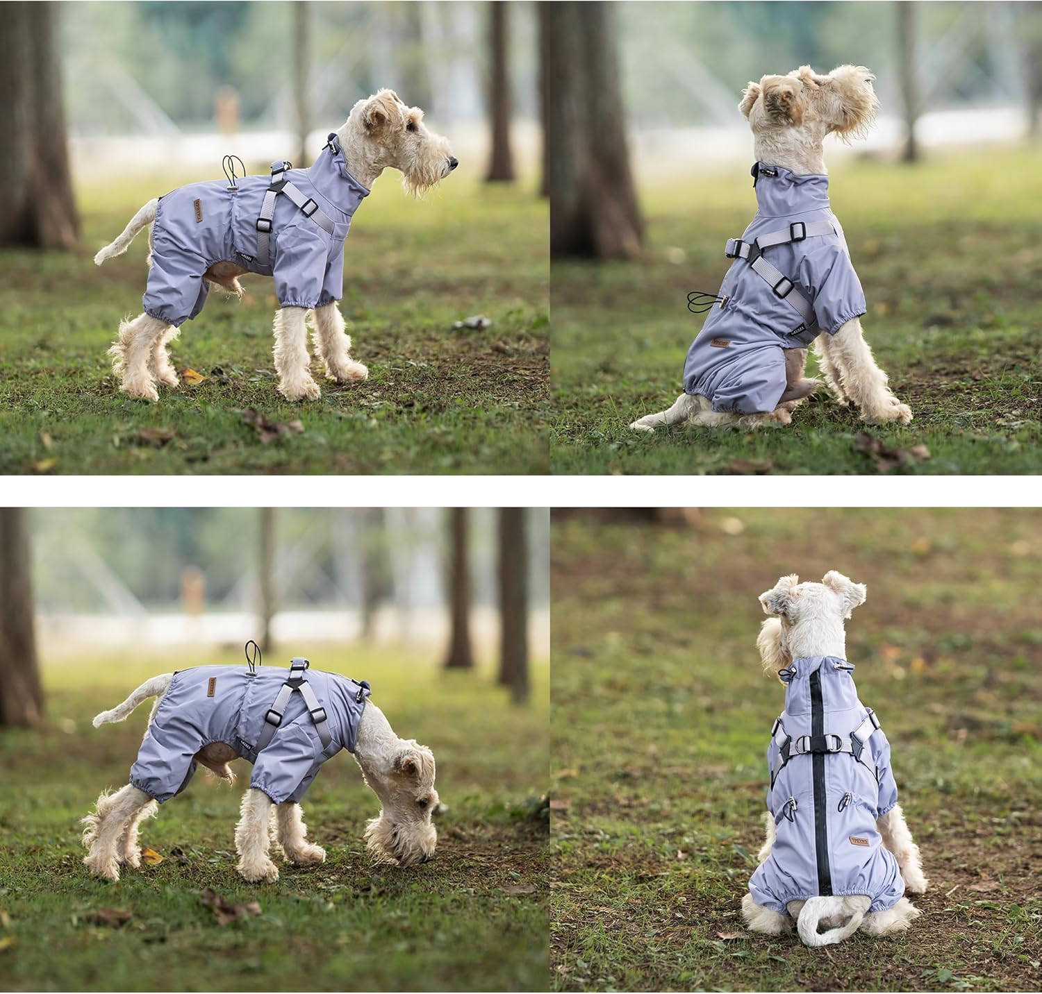 Thumbnail 6 de BT Bear Hundegeschirr-Regenmantel XXL – Wasserdichter 2-in-1-Hundemantel mit reflektierendem Geschirr-Design (Lila, XXL)
