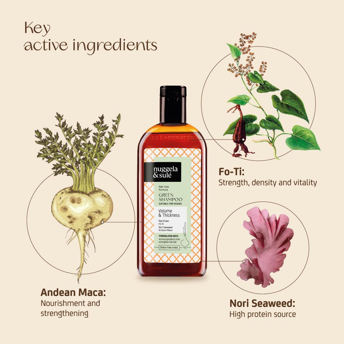 Thumbnail 6 de Nuggela & Sulé Polynesia-Keratin Shampoo – veganes Shampoo mit Meeres- und Pflanzenproteinen